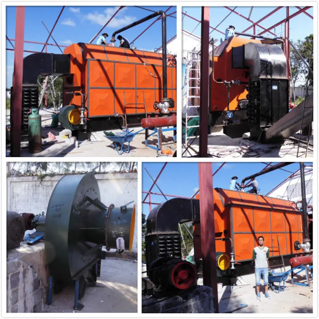 DZL biomass coal fired steam boiler (2)