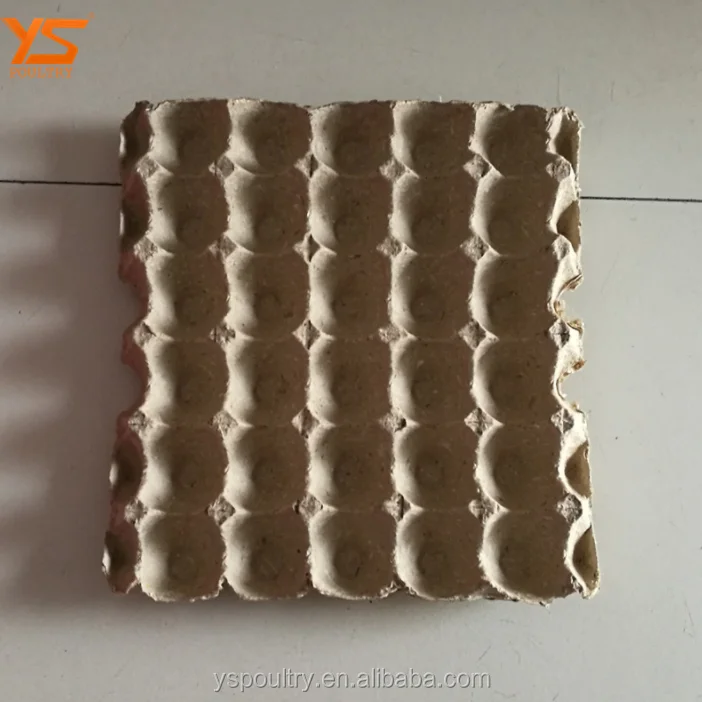 
Biodegradable Paper Pulp Egg Tray Price 