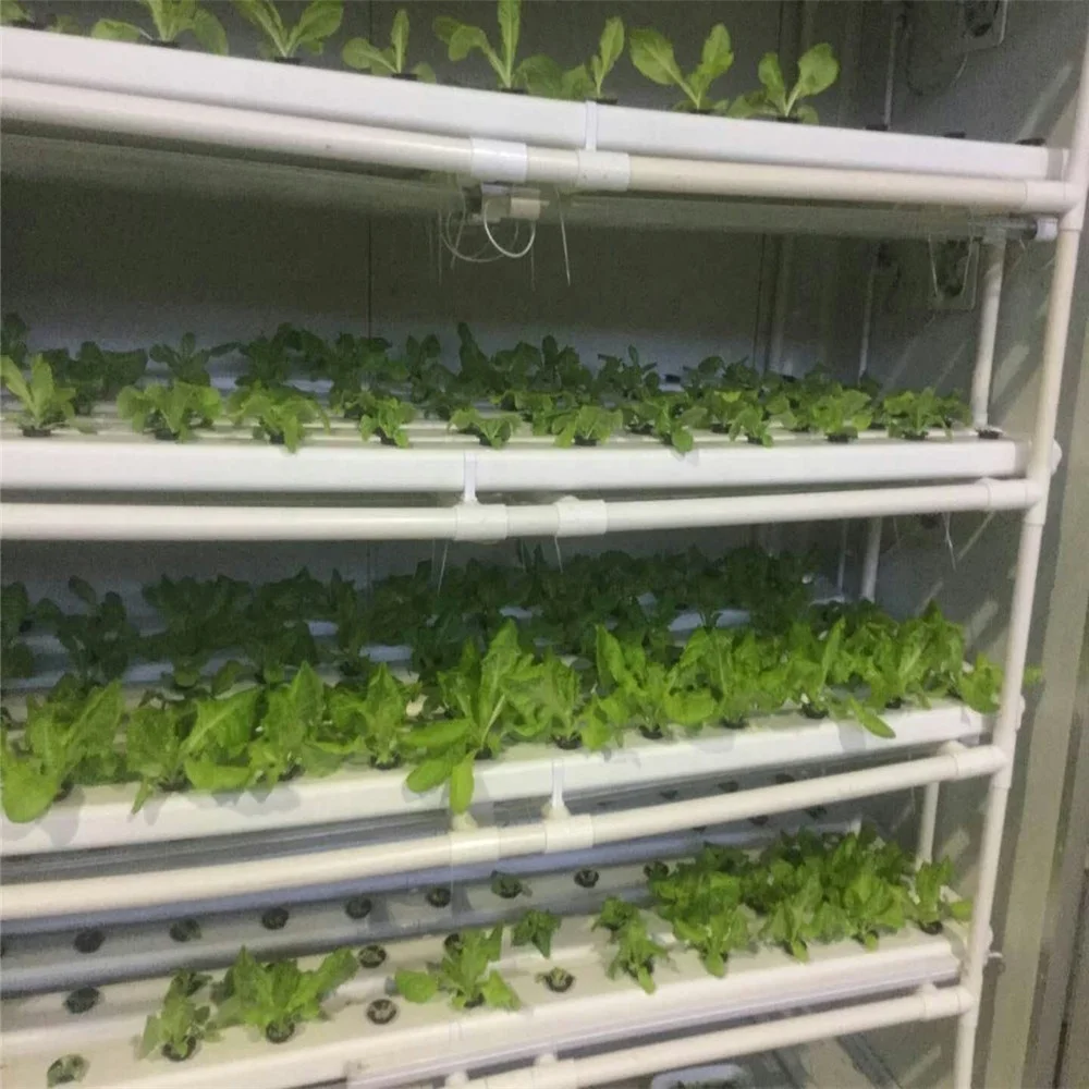 Greenhouse  container  for Hydroponics vegetable System / Hydroponic sprouting Machine