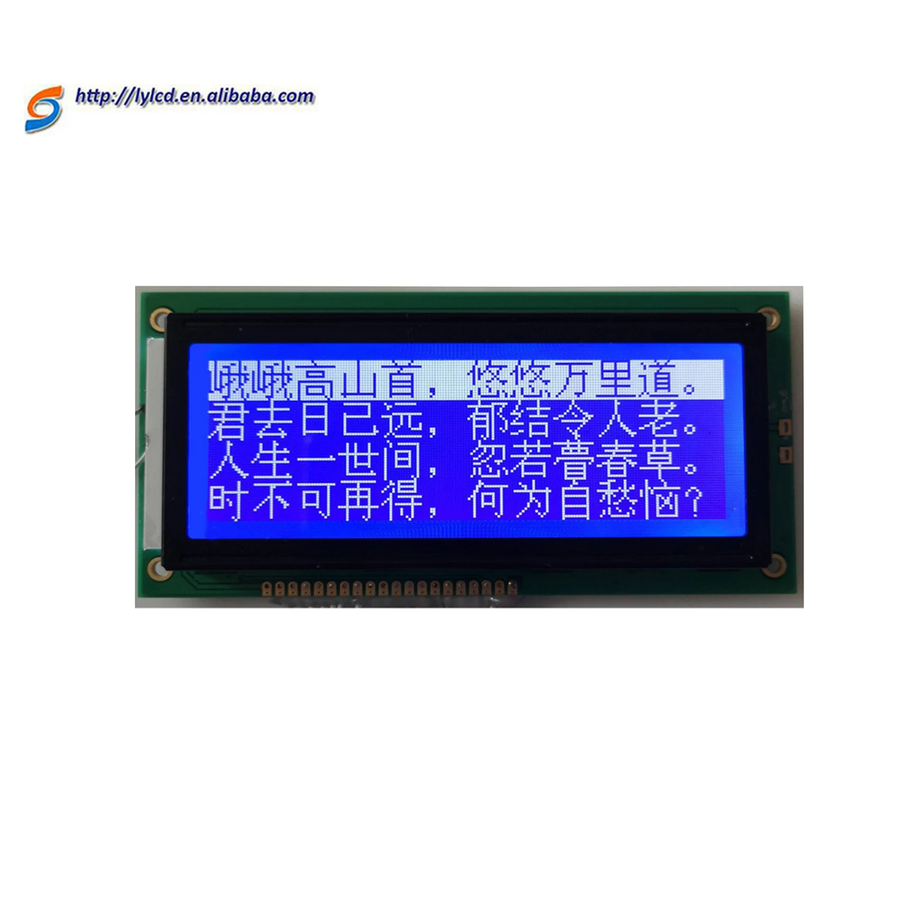 High quality mono graphic cob 128*64 lcd blue film LCD Display