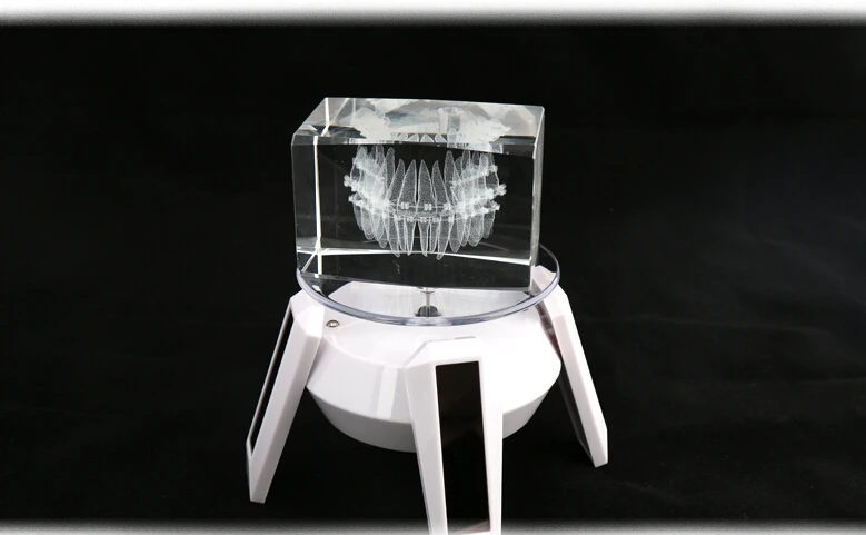 3D laser engraved  crystal orthodontics teeth block for decors and gifts