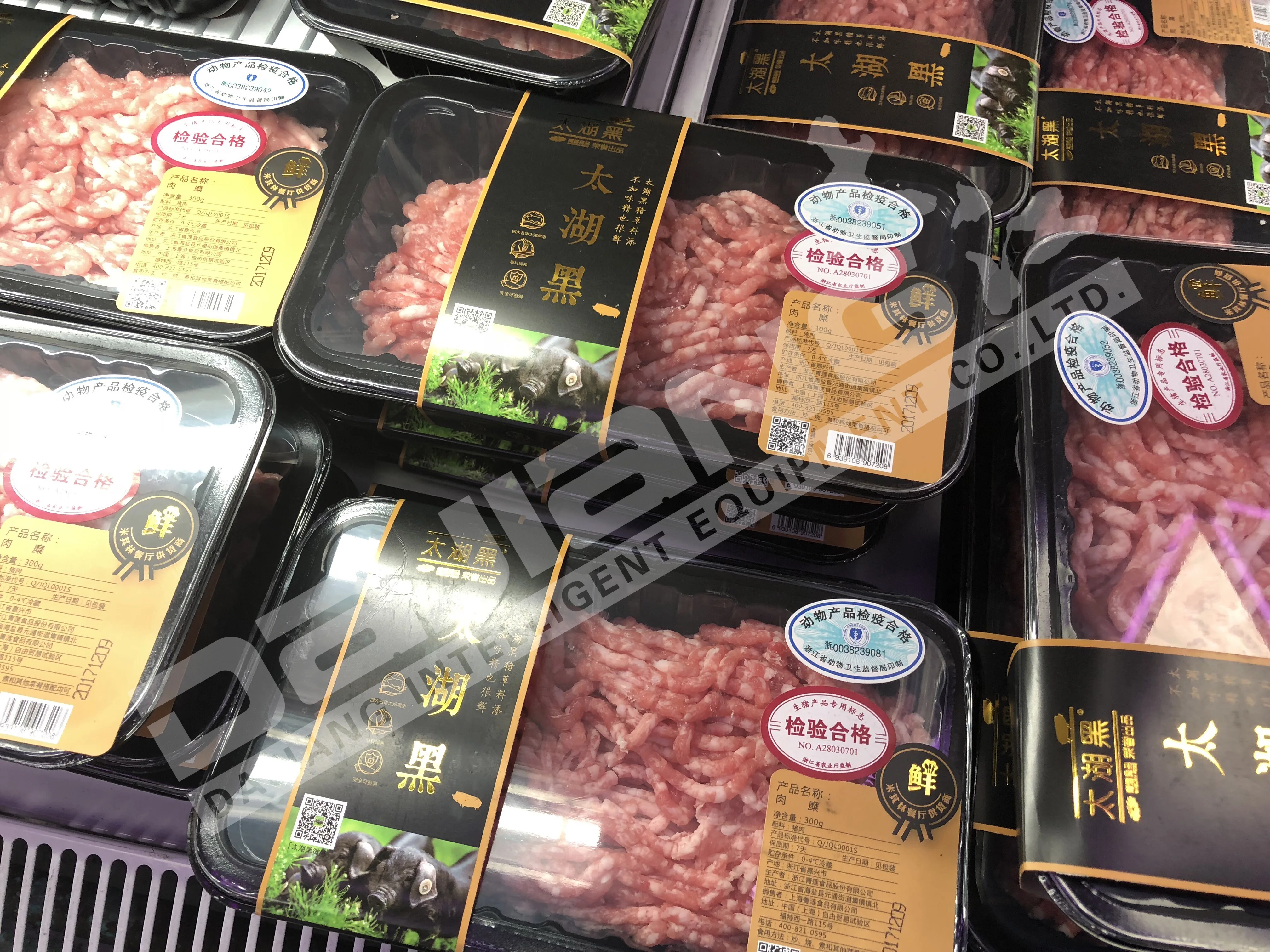 DX-1 Tray Sealer Machine Salt Plastic Food Container Modified atmosphere packing machine plastic food packaging