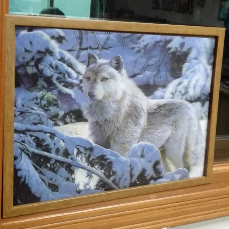 
lenticular wolf 3d picture 