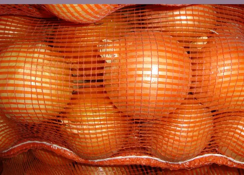 
Fresh yellow onion 