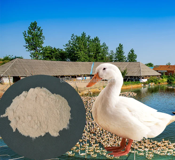 Suntybio Buy Bacillus Subtilis Bacteria