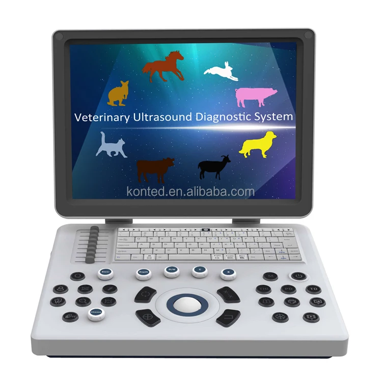 Konted Brand C6V Ecografo for Veterinary