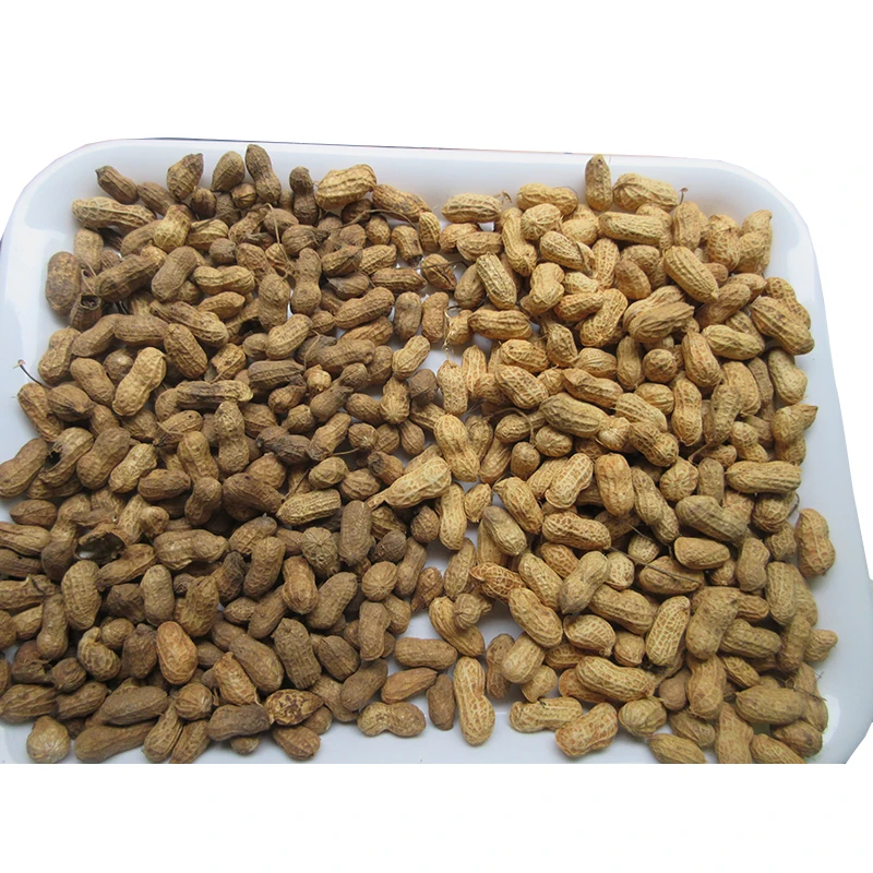 Cereal Cleaning Equipment Grain Peanut Cleaning Machine India