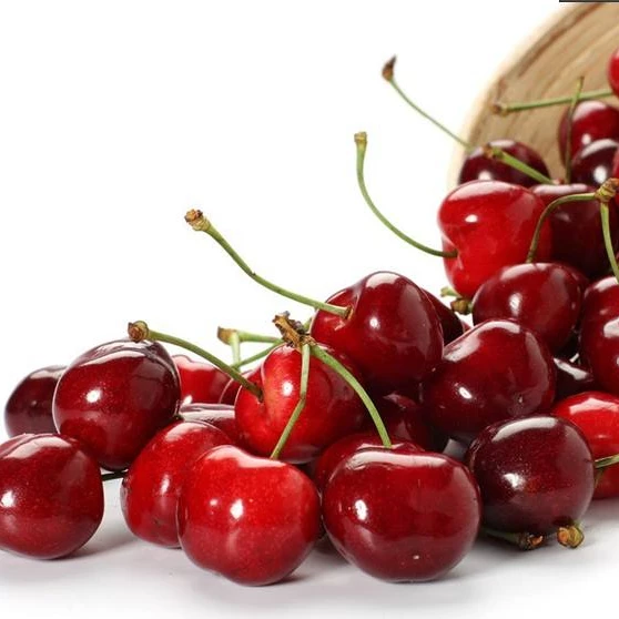 Сладкие тропические фруктовые деревья Prunus persica var. nectarina