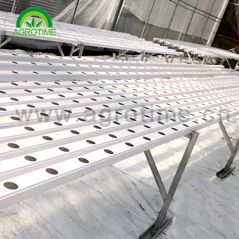 hydroponic systems for grow lettuce