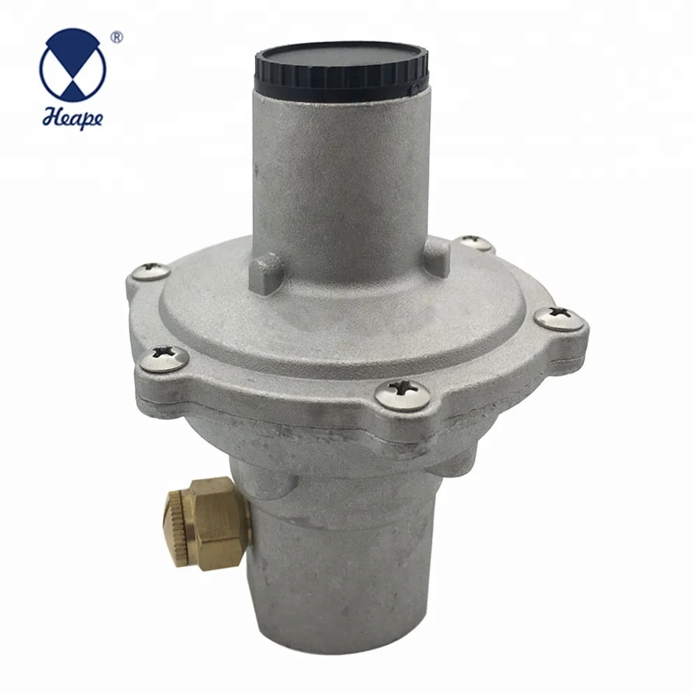 
HEAPE Europe And India Standard Pipe Natural Gas Regulator 