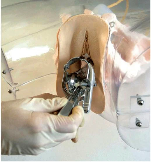 FT32  artificial abortion model 1