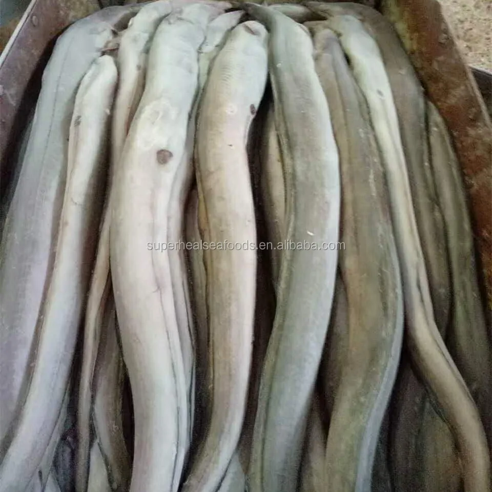 Новинка, рыба в виде замороженного конгера, щуки, угоря, 300-400 г