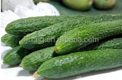 DEHYDRATED VEGETABLE 100% NATURAL Slice/Cube/Powder FREEZE DRIED CUCUMBER