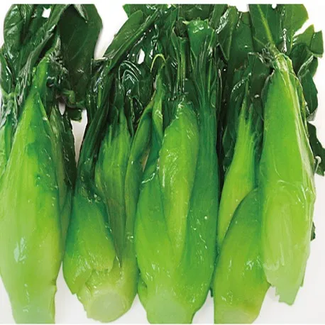 
IQF Frozen Chingensai Chinese pakchoi green terrier 