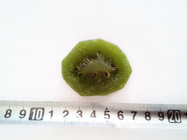 Chinese dried bulk dried blueberries for sale in good price