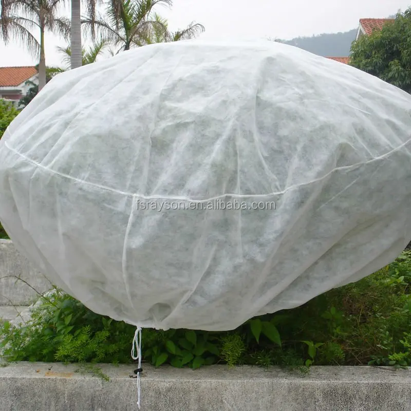 PP spunbond nonwoven agriculture fruit tree cover