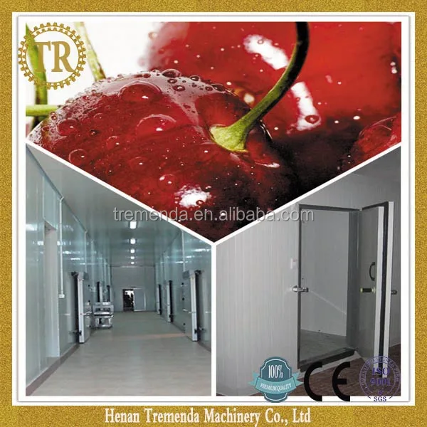 
durable 5000t tomato cold storage room for sale 
