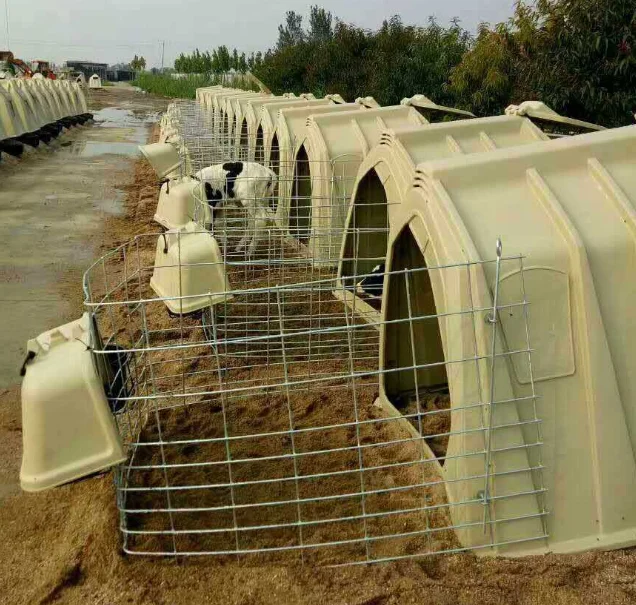 Customized rotational plastic calf house