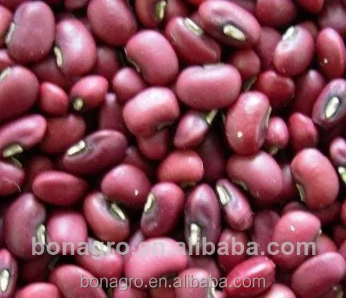 Высококачественный красный cowpea