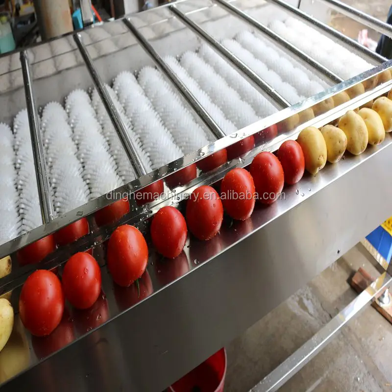 Commercial carrots / potatoes / celery vegetables washing equipments / root vegetables cleaning machine