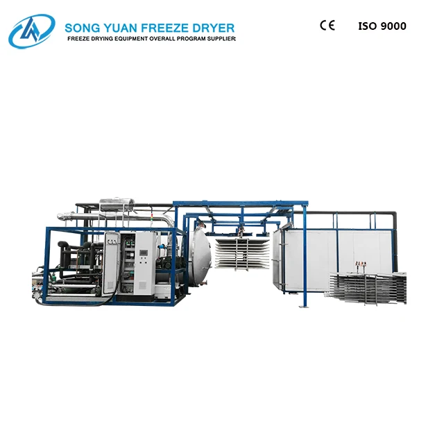 High quality commercial food freeze dryer LG-30 freezing area 30 square meters