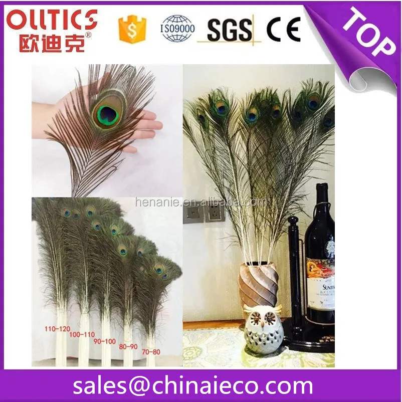 Big eyes peacock feathers Pure natural