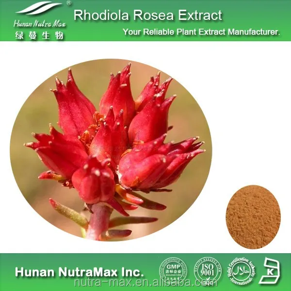 Экстракт корня родиолы 10:1