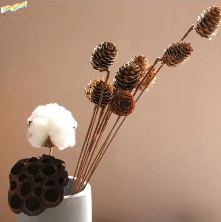 Handmade Natural Dried Pine Cone Acorn Okra Cotton Pinecone Home Decoration