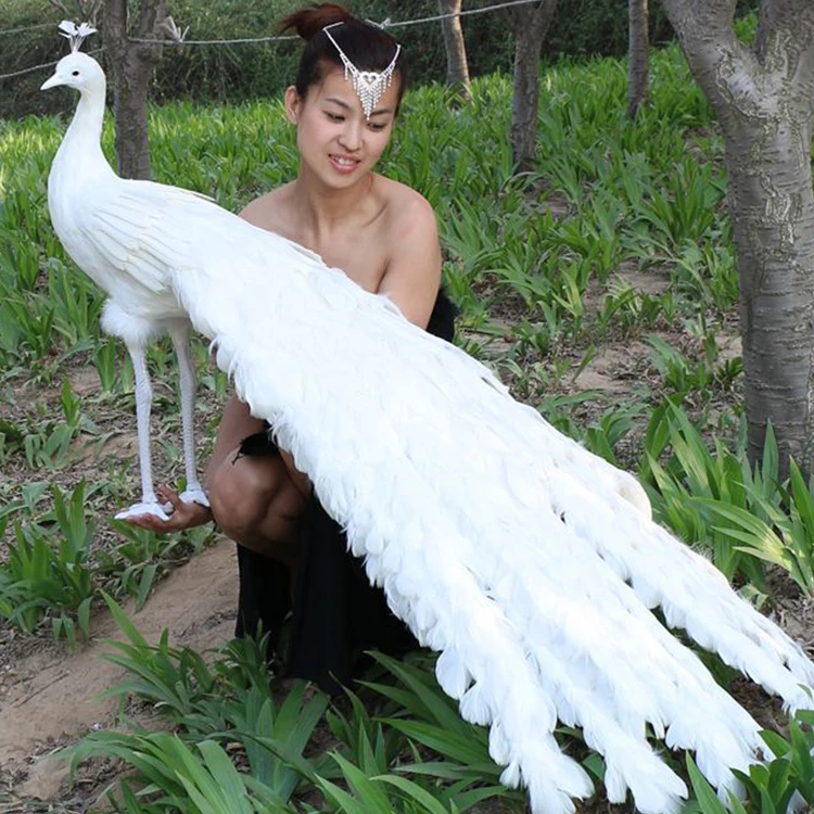 New Style Wedding Photography Welcome Area Decoration Artificial White Peacock For Exhibition