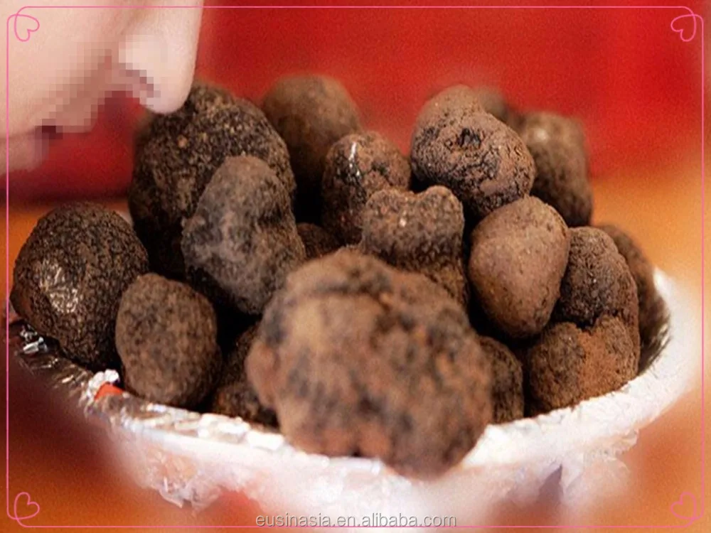 
New cap Wild Fresh Perigord truffle 