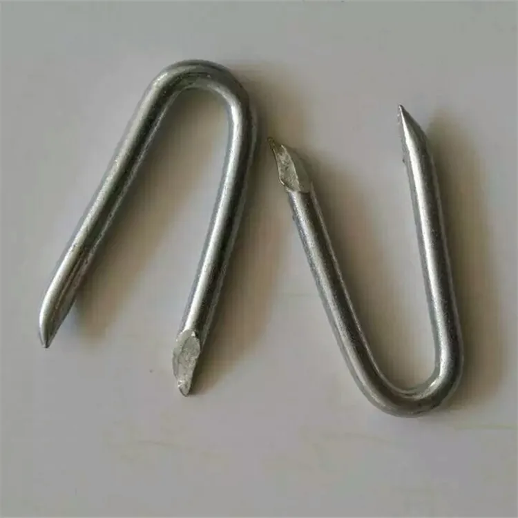 Electro Galvanized U Shape Nails Used with Barbed Wire
