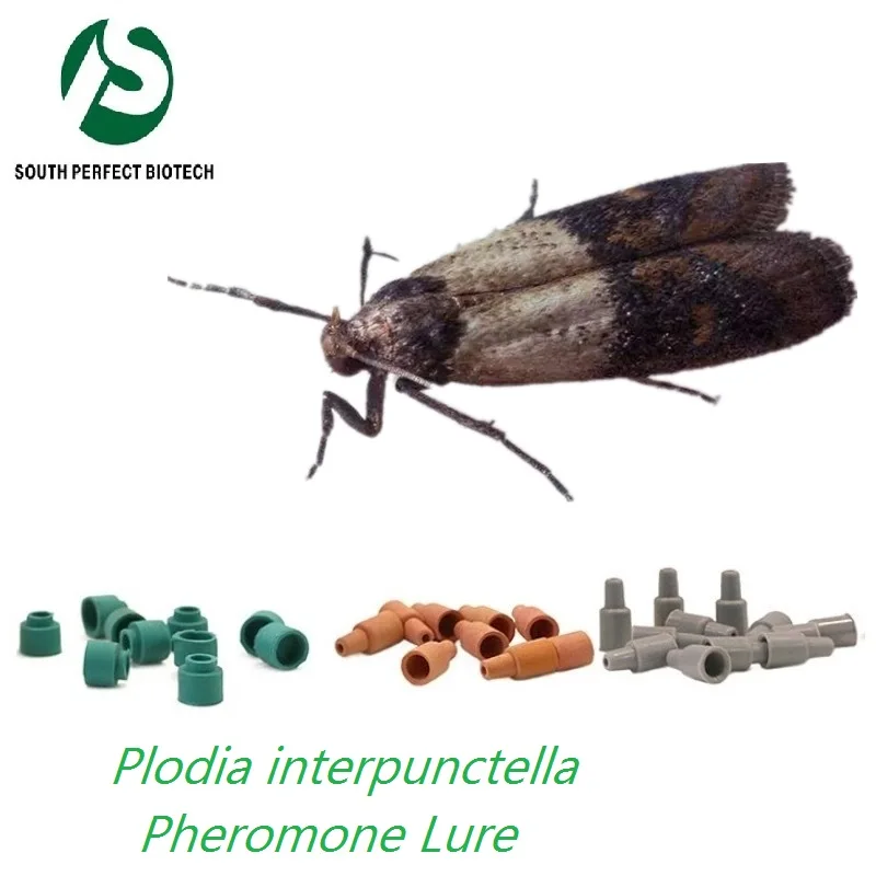 insect pheromone for Plodia interpunctella (India meal moth)