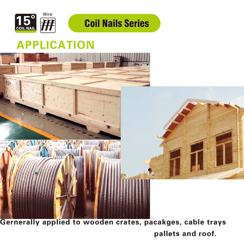 meite Round head wire coil Framing Nail 25mm-130mm Direct Manufacturer