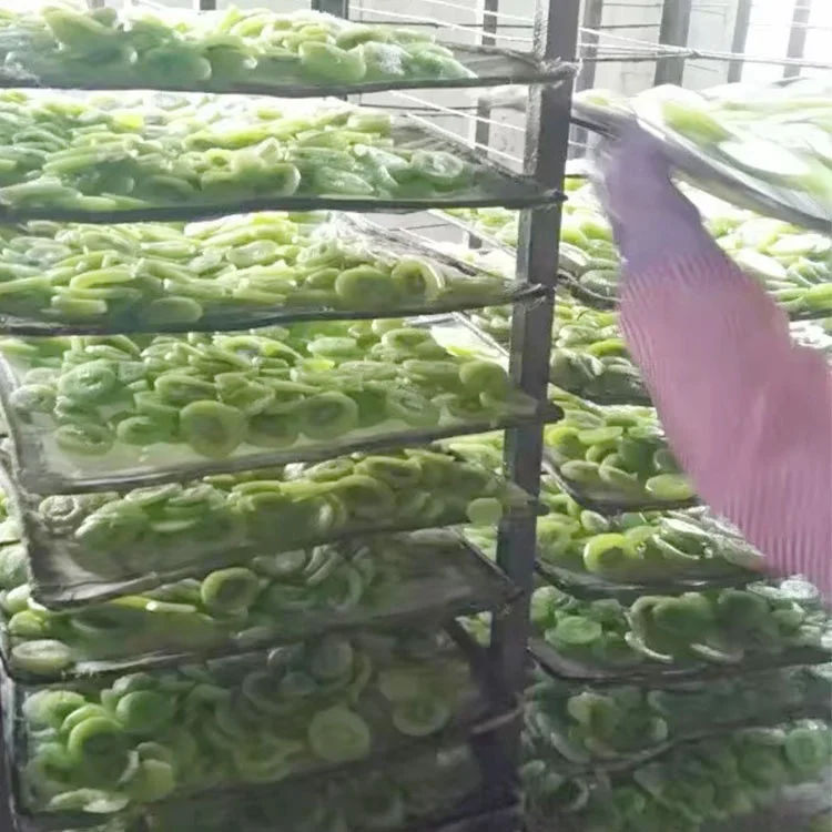 New Crop Green Color Sweet Sliced Dehydrated Kiwi