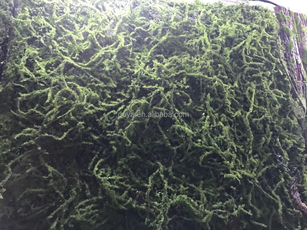 
New High Simulation Artifical Plants Decorative Artificial Tree Bark 