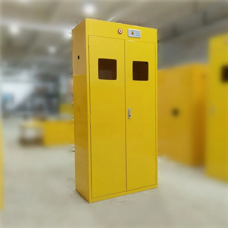 Laboratory Furniture Gas Bottle Cabinet/Gas Cylinder Cabinet