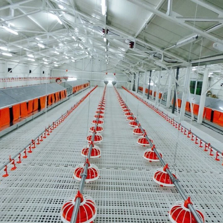 Turn-key Automatic broiler poultry farming equipment/ equipment for chicken shed