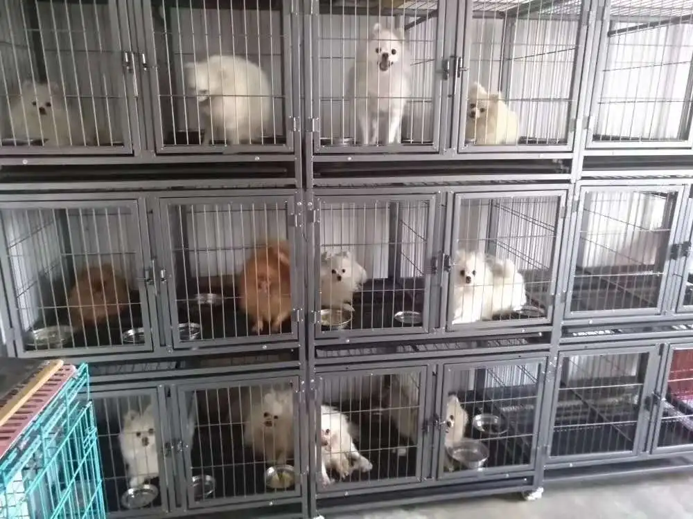 Good quality factory directly can use in the home or outdoor  portable heavy duty pet dog cage