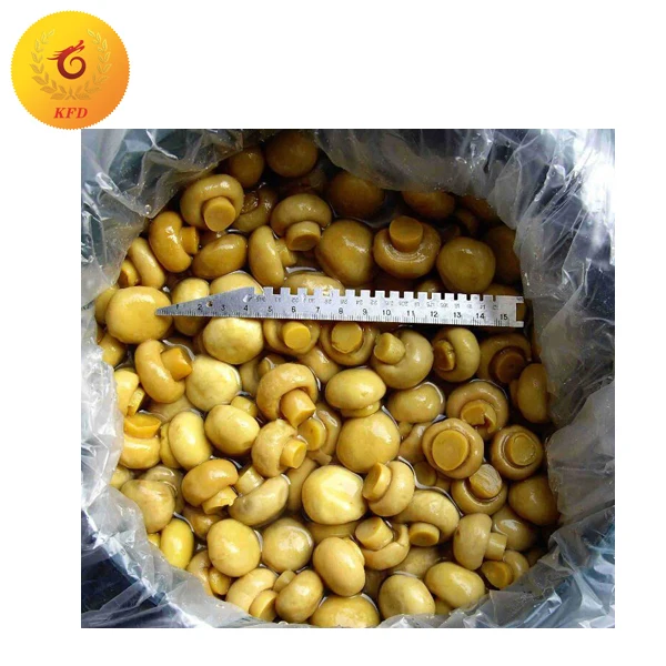 
Mushroom in Drum in Brine 