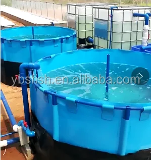 10m3 Mini Recirculation Aquaculture Systems for Fish seedling