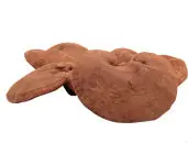 
Dried Lingzhi Ganoderma Lucidum Fruit Body Reishi Mushroom 