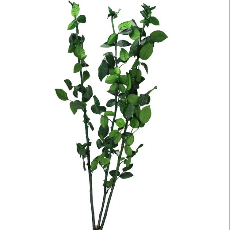 70cm Best Quality Natural long forever Preserved Rose Stem For Making Preserved Glass Dome Rose