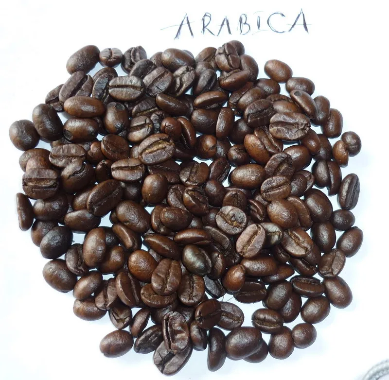 
ROASTED ARABICA COFFEE BEANS MAKING A CUP OF COFFEE AT HOME BRANDING ANTHAICAFE FROM VIET NAM COFFEE 