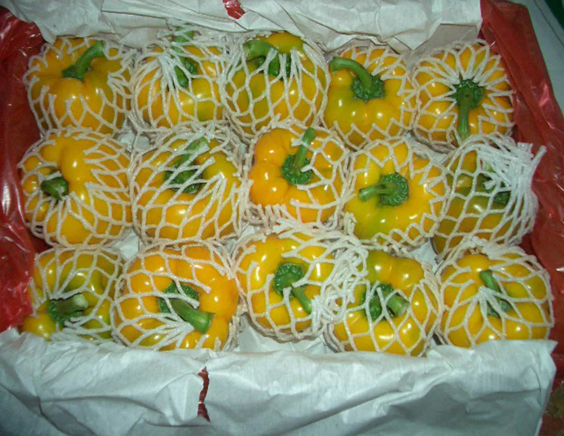 
Good quality fresh yellow pepper 
