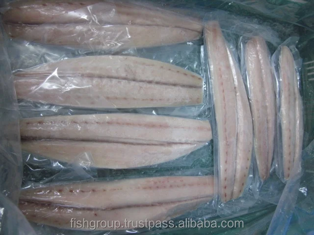 Frozen Fish Fresh Tilapia Supplier Block Bulk Style Packaging Package Weight Lbs Shelf Origin Latin Type Frozen Mahi Mahi Fillet