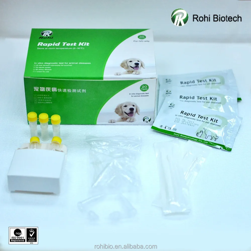 
Sale! Canine Distemper Ag Test CDV test kits/Puppy distemper diagnostic medicine 
