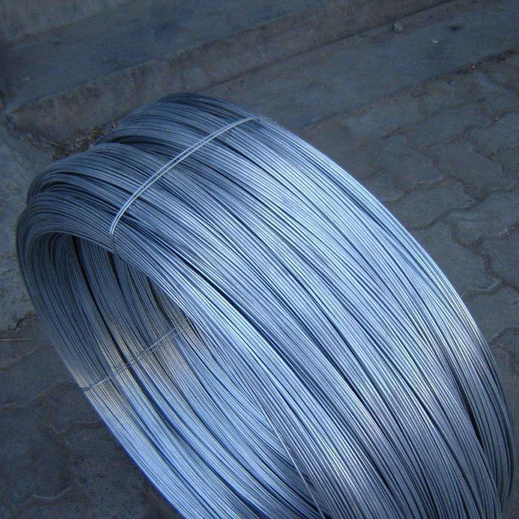 New design 4mm coil steel wire rope galvanized with great price