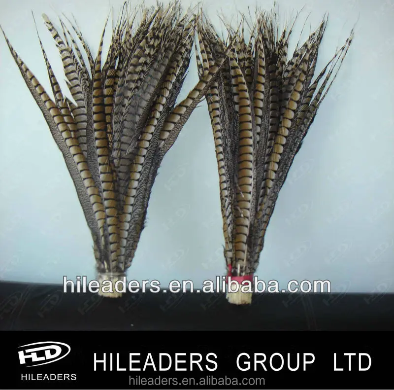 Натуральные дамские перья фазана