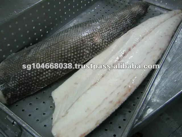 OILFISH RS FILLET