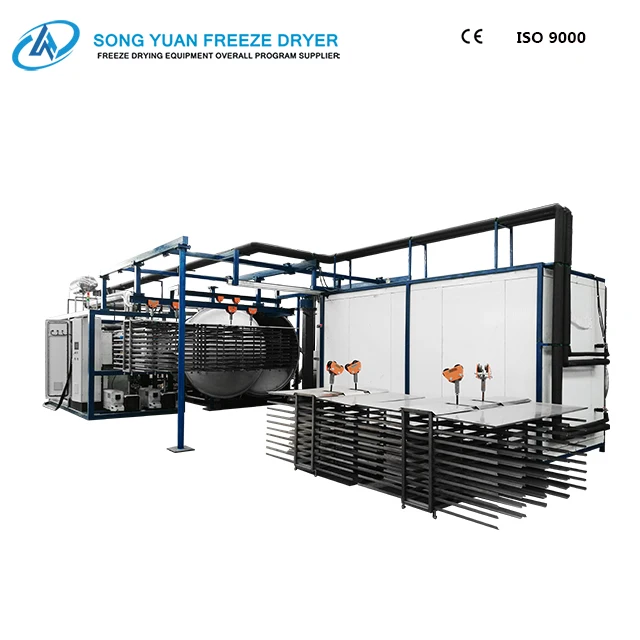 High quality commercial food freeze dryer LG-30 freezing area 30 square meters